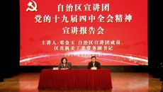 广西壮族自治区宣讲团到球王会网页版举办党的十九届四中全会精神宣讲报告会